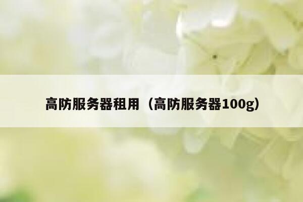 高防服务器租用（高防服务器100g）