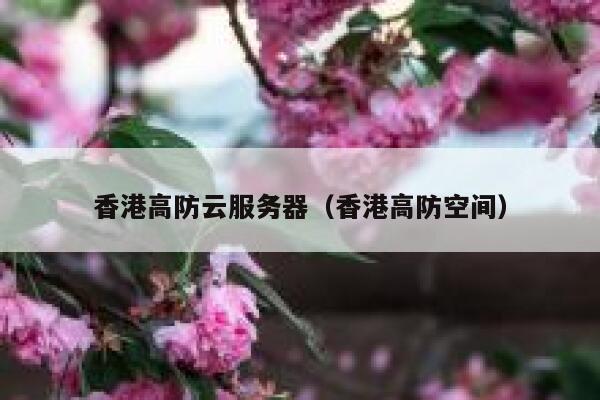 香港高防云服务器（香港高防空间）