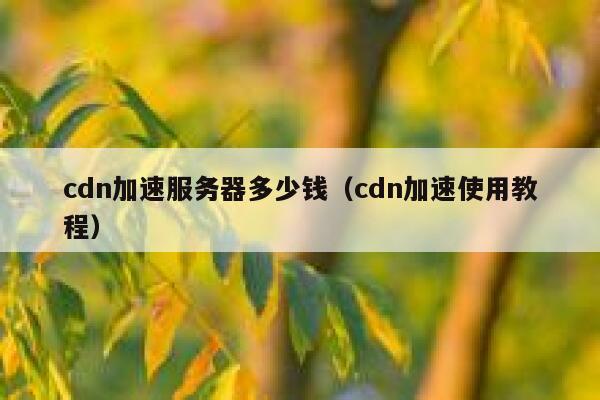 cdn加速服务器多少钱（cdn加速使用教程）