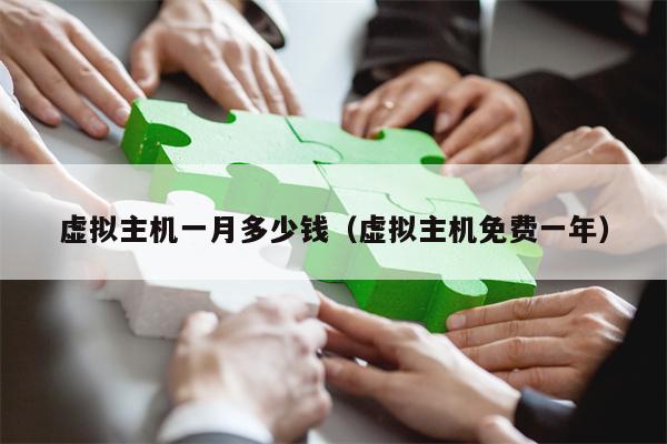 虚拟主机一月多少钱（虚拟主机免费一年）
