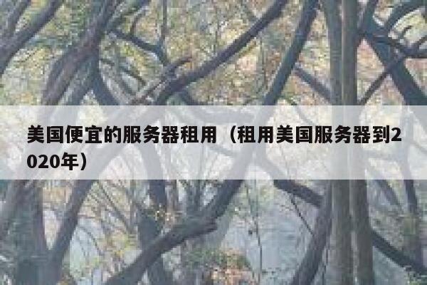 美国便宜的服务器租用（租用美国服务器到2020年）