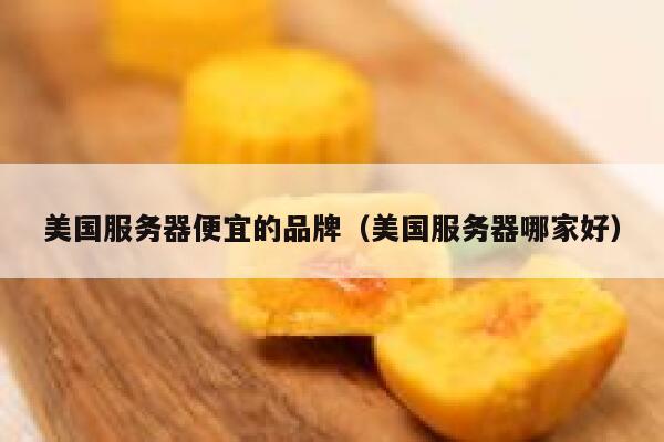 美国服务器便宜的品牌（美国服务器哪家好）