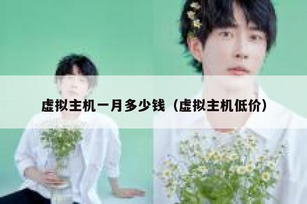 虚拟主机一月多少钱（虚拟主机低价）