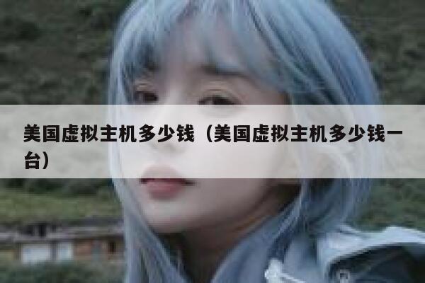 美国虚拟主机多少钱（美国虚拟主机多少钱一台）