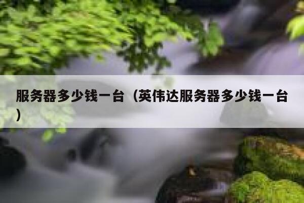 服务器多少钱一台（英伟达服务器多少钱一台）