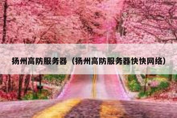 扬州高防服务器（扬州高防服务器快快网络）