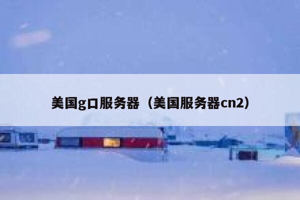 美国g口服务器（美国服务器cn2）
