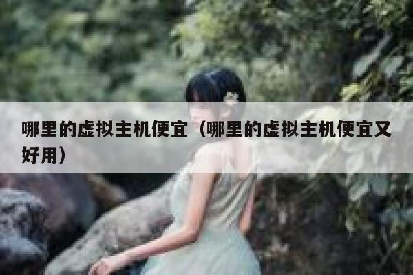 哪里的虚拟主机便宜（哪里的虚拟主机便宜又好用）