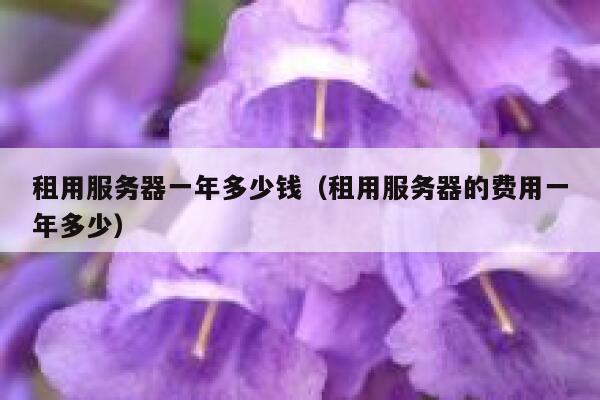 租用服务器一年多少钱（租用服务器的费用一年多少）