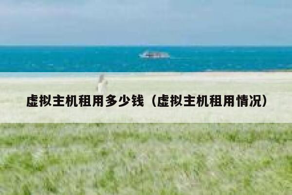虚拟主机租用多少钱（虚拟主机租用情况）