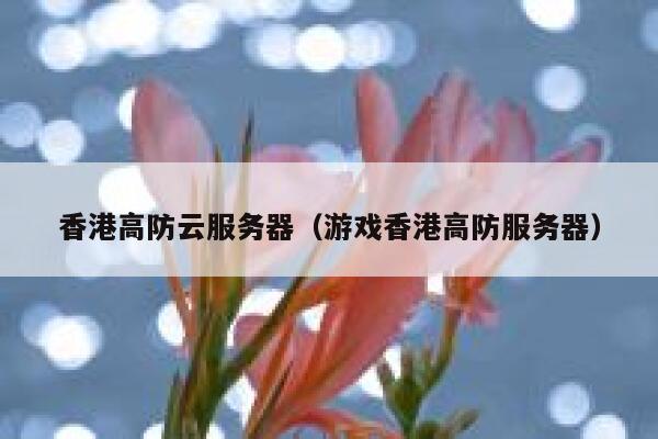 香港高防云服务器（游戏香港高防服务器）