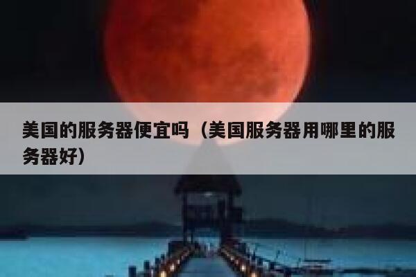 美国的服务器便宜吗（美国服务器用哪里的服务器好）