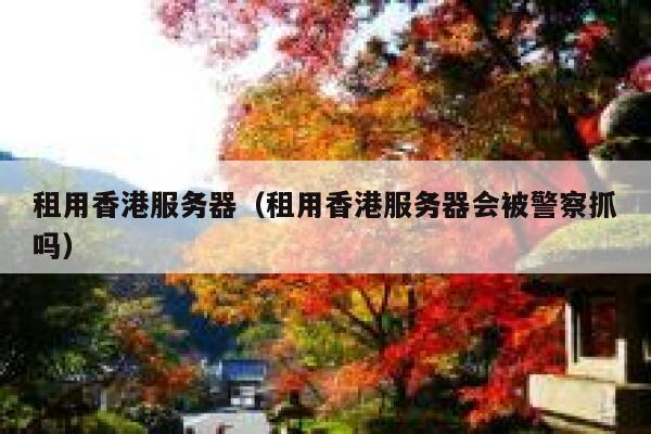 租用香港服务器（租用香港服务器会被警察抓吗）