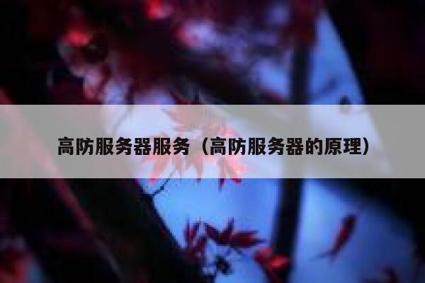 高防服务器服务（高防服务器的原理）