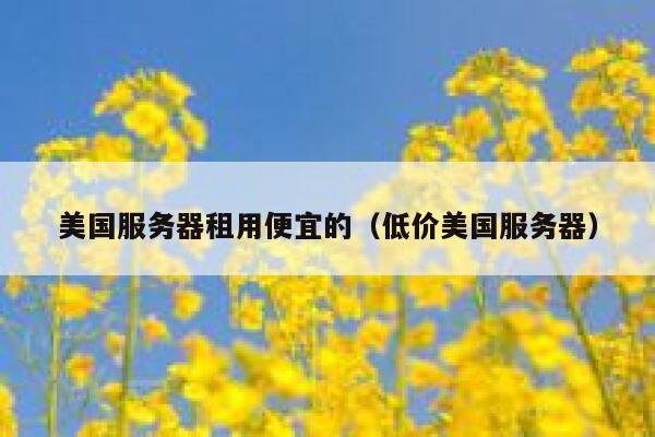 美国服务器租用便宜的（低价美国服务器）
