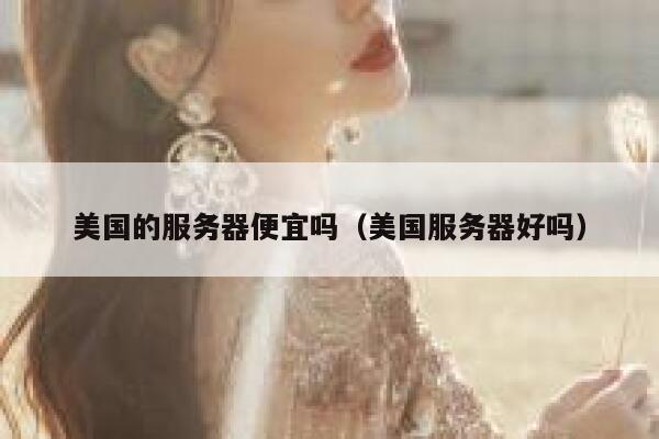 美国的服务器便宜吗（美国服务器好吗）