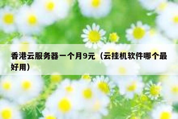 香港云服务器一个月9元（云挂机软件哪个最好用）