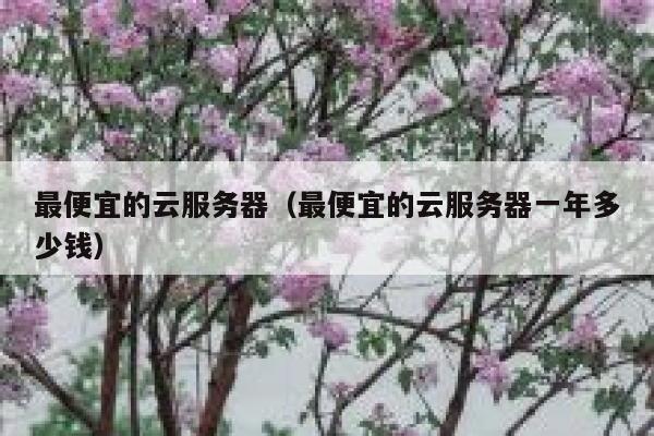 最便宜的云服务器（最便宜的云服务器一年多少钱）
