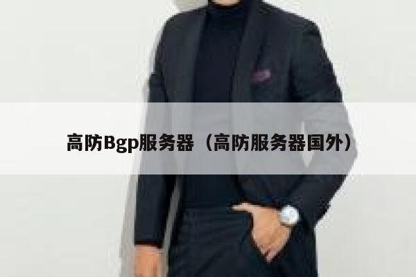 高防Bgp服务器（高防服务器国外）