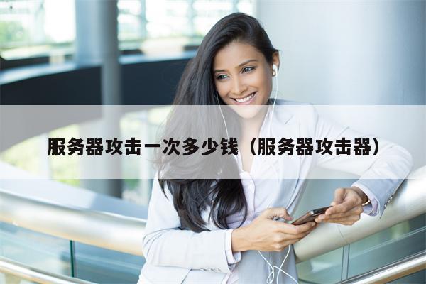 服务器攻击一次多少钱（服务器攻击器）