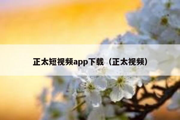 正太短视频app下载（正太视频）