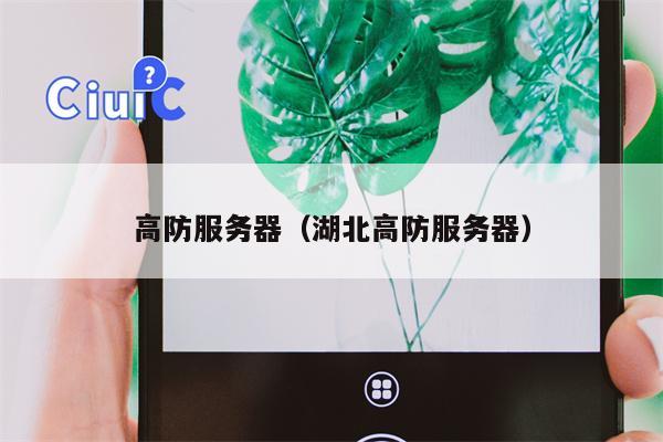 高防服务器（湖北高防服务器）