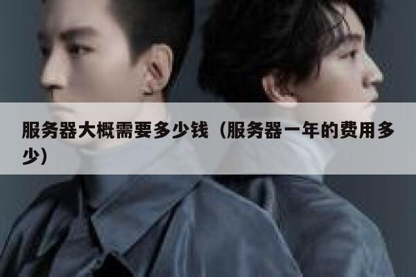 服务器大概需要多少钱（服务器一年的费用多少）