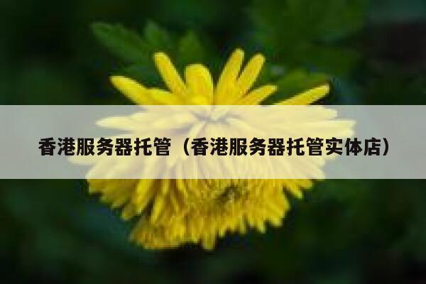 香港服务器托管（香港服务器托管实体店）