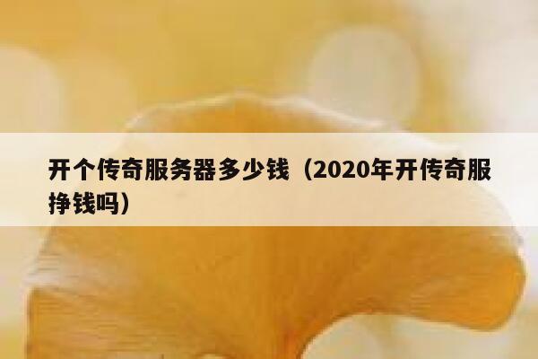开个传奇服务器多少钱（2020年开传奇服挣钱吗）