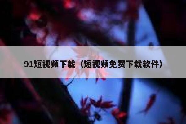 91短视频下载（短视频免费下载软件）