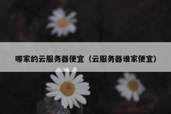 哪家的云服务器便宜（云服务器谁家便宜）