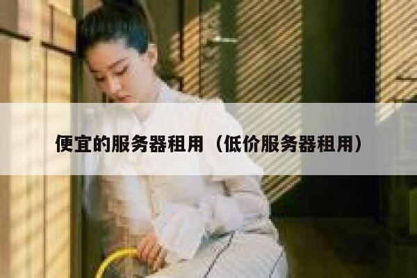便宜的服务器租用（低价服务器租用）