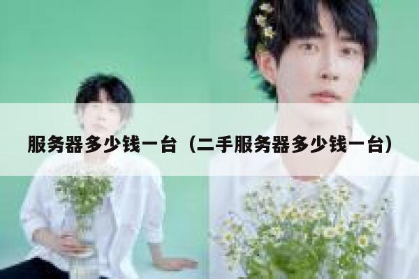 服务器多少钱一台（二手服务器多少钱一台）