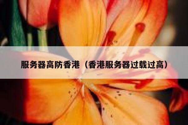 服务器高防香港（香港服务器过载过高）
