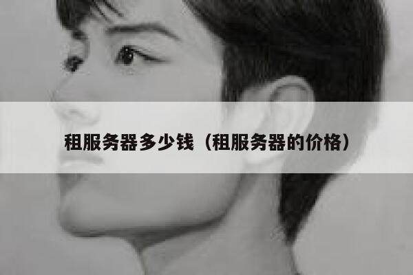 租服务器多少钱（租服务器的价格）