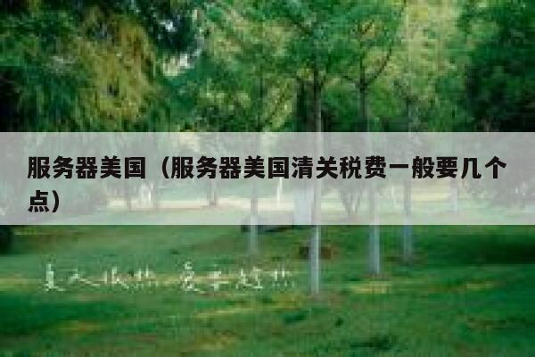 服务器美国（服务器美国清关税费一般要几个点）