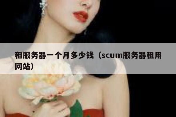 租服务器一个月多少钱（scum服务器租用网站）