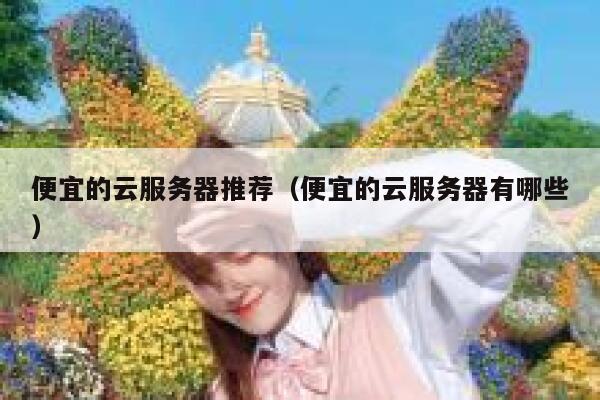 便宜的云服务器推荐（便宜的云服务器有哪些）