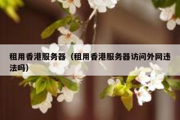 租用香港服务器（租用香港服务器访问外网违法吗）