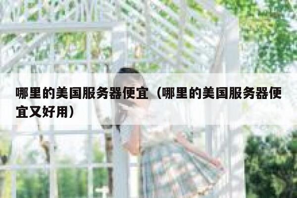 哪里的美国服务器便宜（哪里的美国服务器便宜又好用）