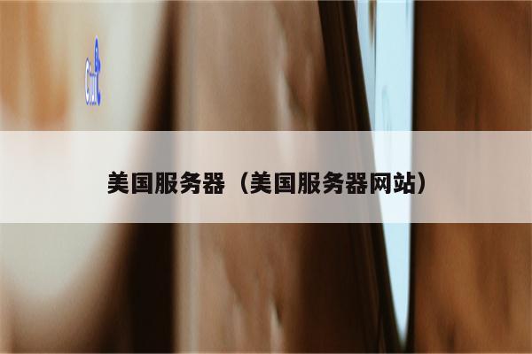 美国服务器（美国服务器网站）
