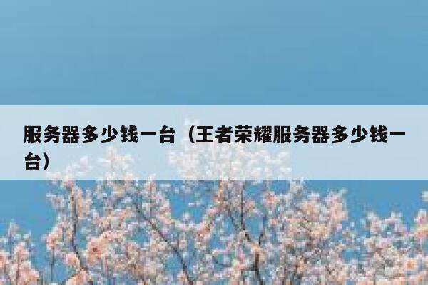服务器多少钱一台（王者荣耀服务器多少钱一台）