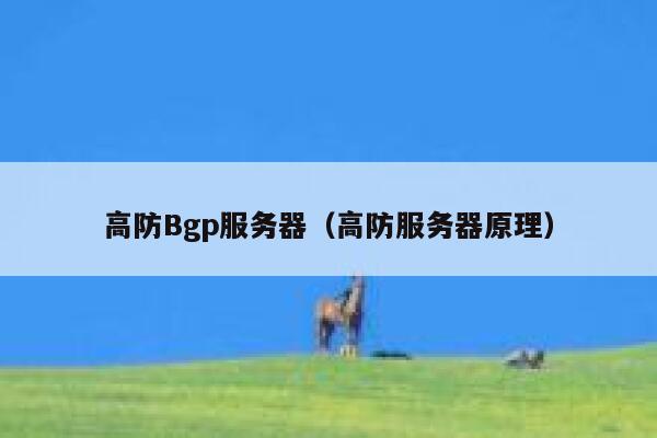 高防Bgp服务器（高防服务器原理）