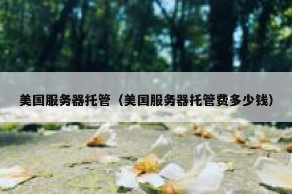 美国服务器托管（美国服务器托管费多少钱）