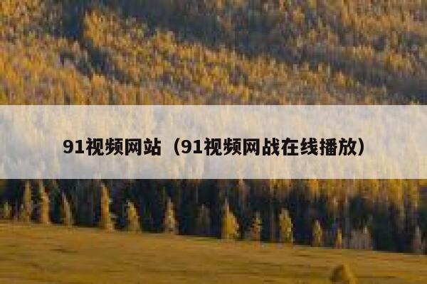 91视频网站（91视频网战在线播放）
