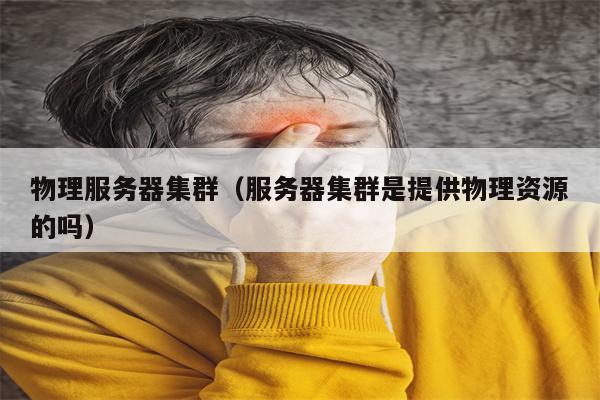物理服务器集群（服务器集群是提供物理资源的吗）