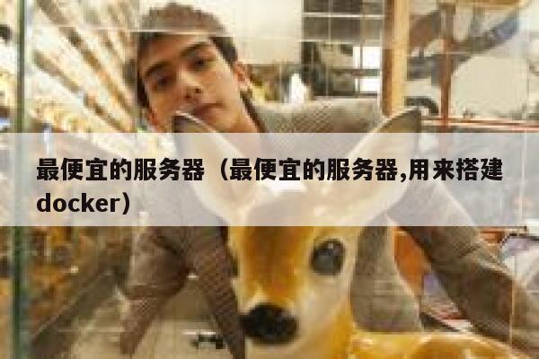 最便宜的服务器（最便宜的服务器,用来搭建docker）