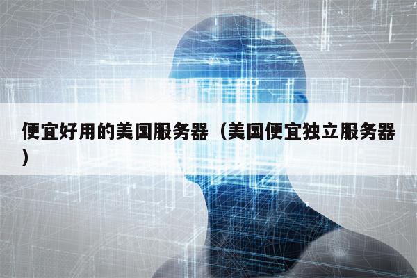 便宜好用的美国服务器（美国便宜独立服务器）
