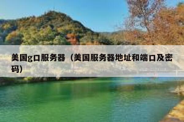 美国g口服务器（美国服务器地址和端口及密码）