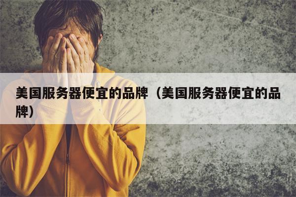 美国服务器便宜的品牌（美国服务器便宜的品牌）